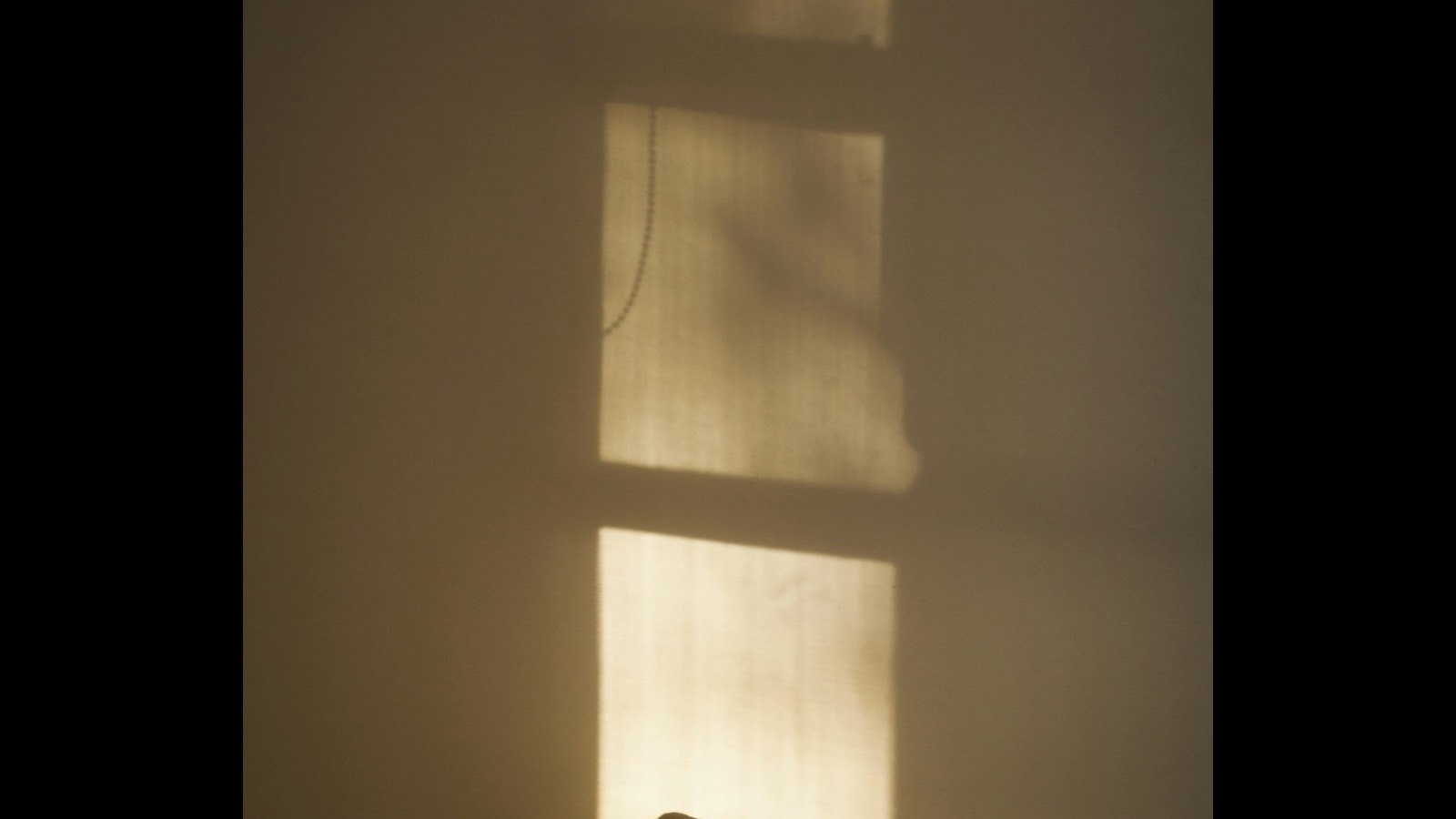 How Morning Sunlight Improves Your Sleep, HRV, and Recovery