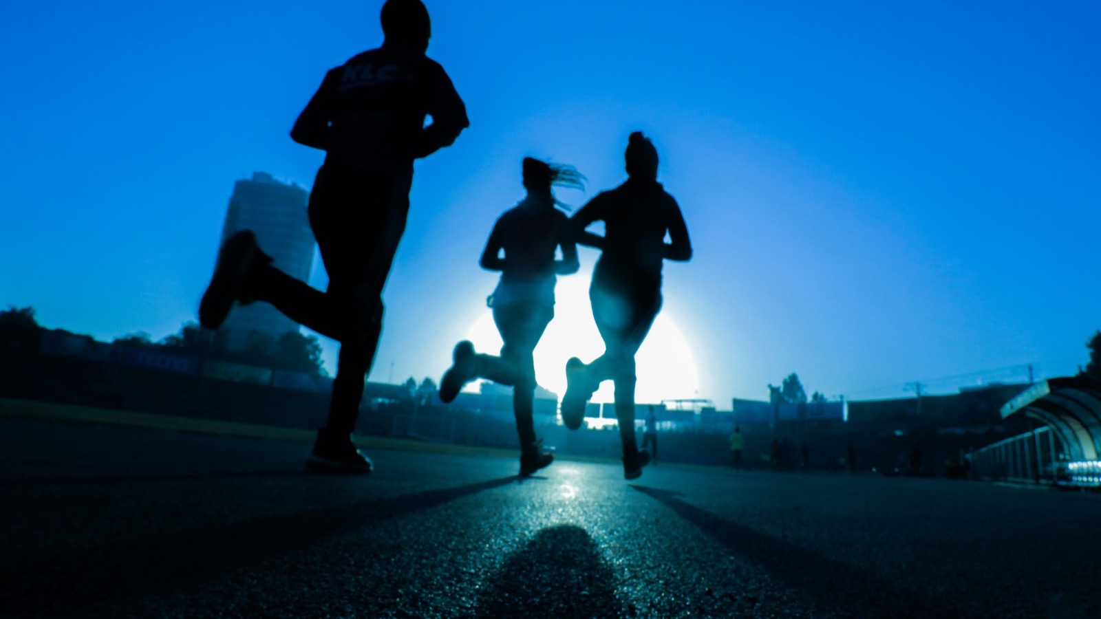 VO2 Max and Longevity: Why This One Number Predicts How Long You'll Live
