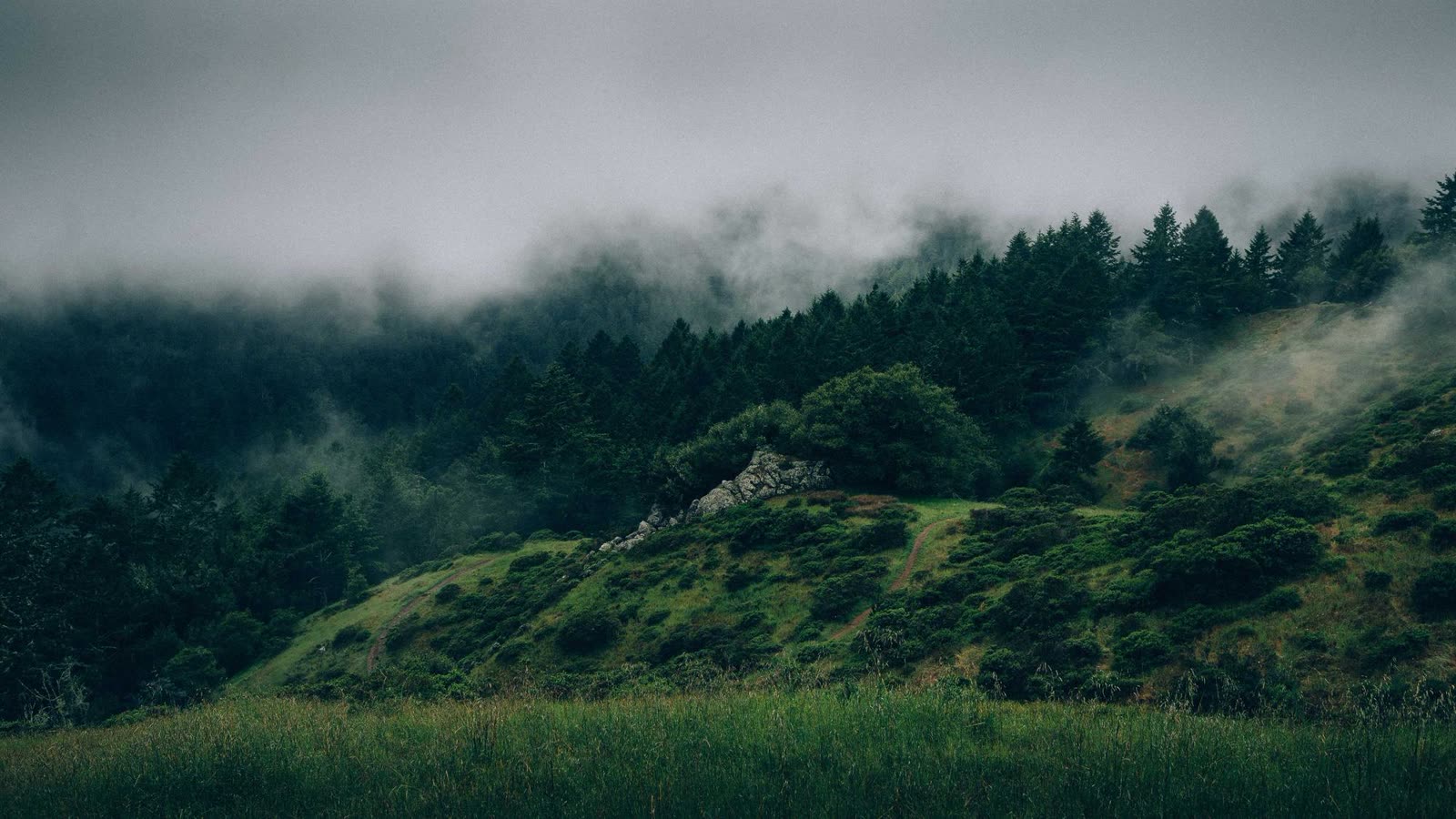 Build a consistency system: stop relying on motivation