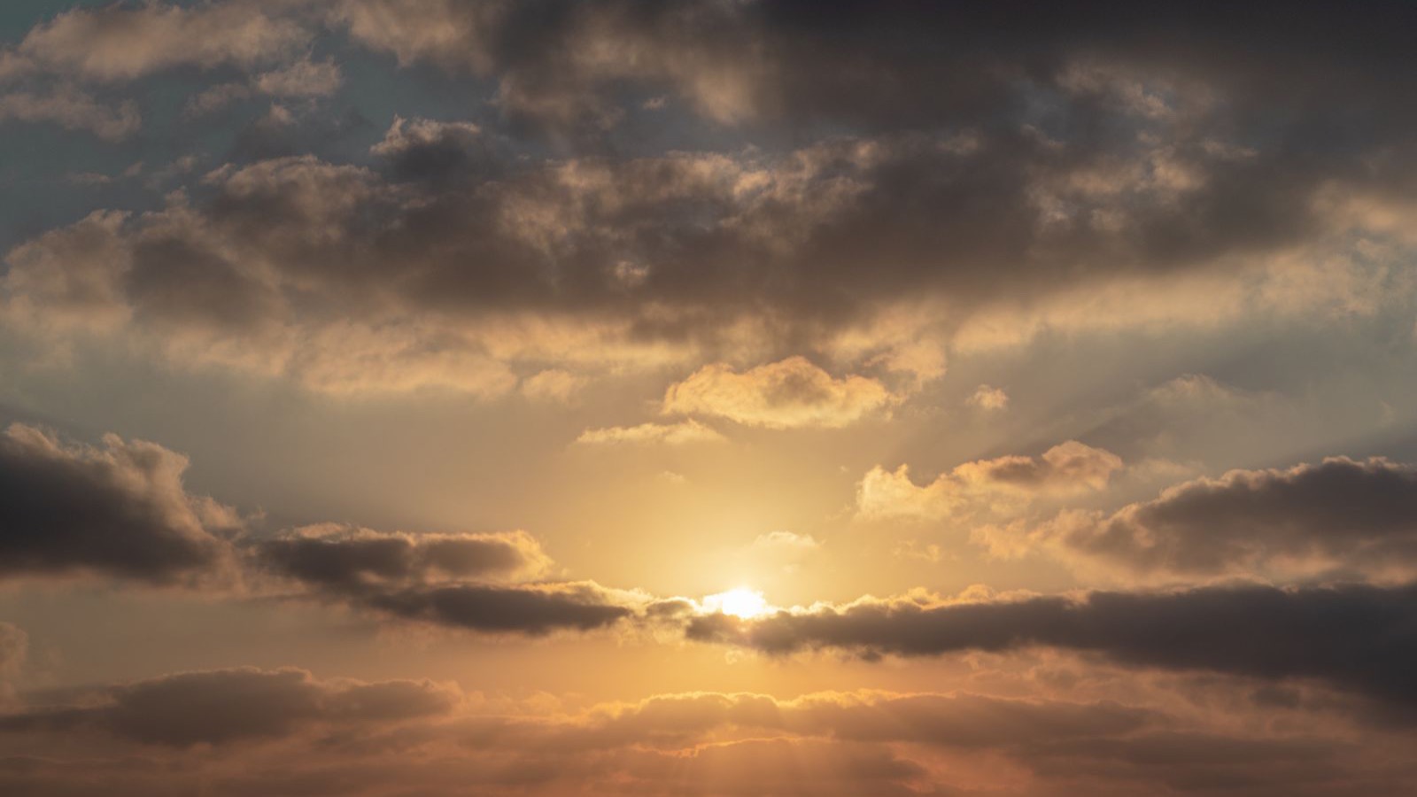 Morning Sunlight: The Free Recovery Tool Your Watch Can't Replace