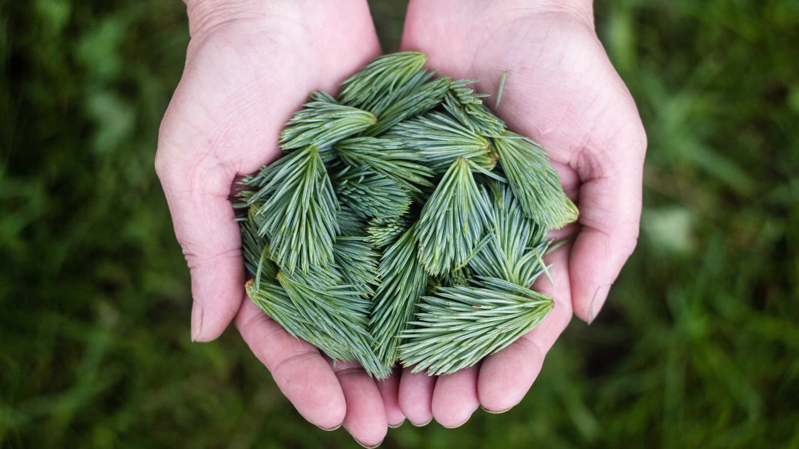 WHOOP Alternative: The Best Way to Get Recovery + Strain Without Another Wearable